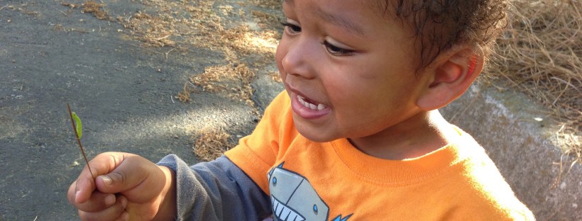 Aaron squealing over bug