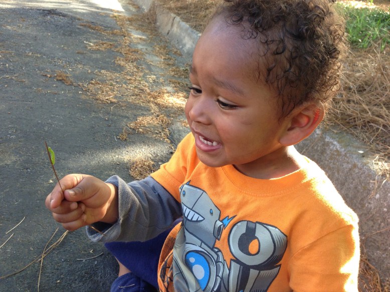 Aaron squealing over bug