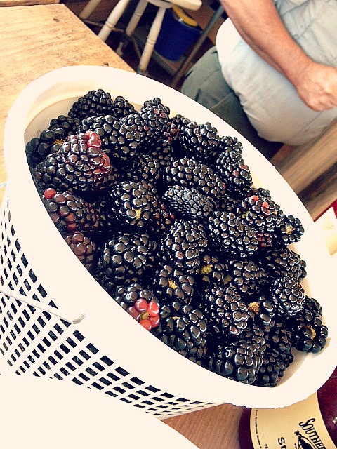 blackberry recipe_2