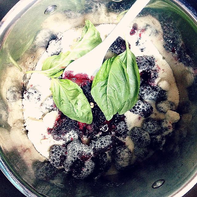 blakberry recipe_4